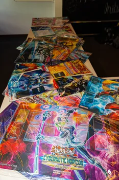 Copyright : Michael Bally